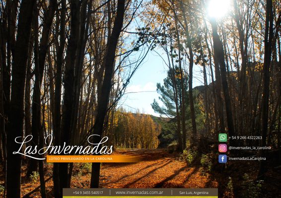 /upload/Terreno - lote/5ef5f84ed1e92fa379272c61/2.jpg